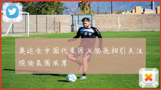 奥运会中国代表团入场亮相引关注现场氛围浓厚
